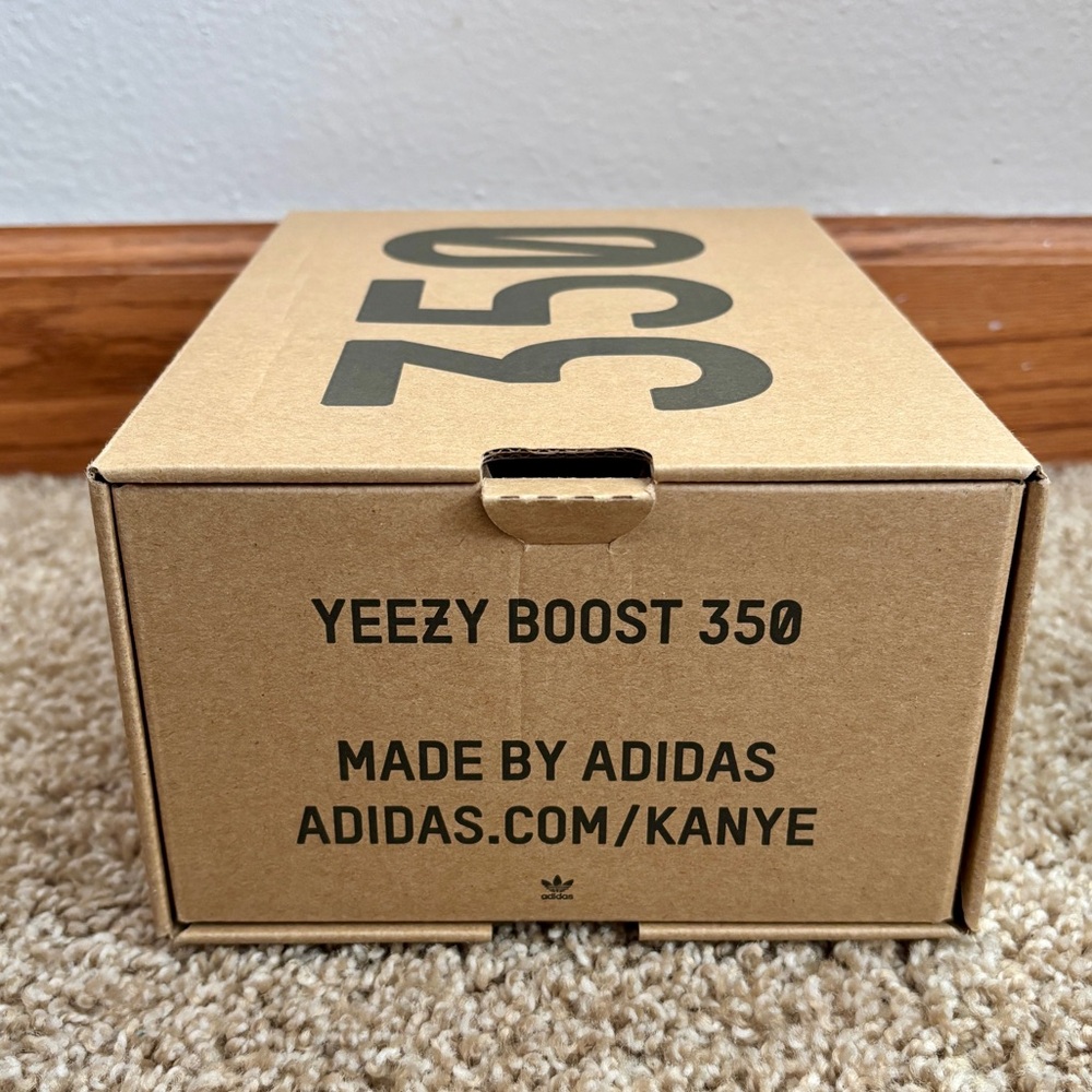 Yeezy 350 - Picture 10 of 11